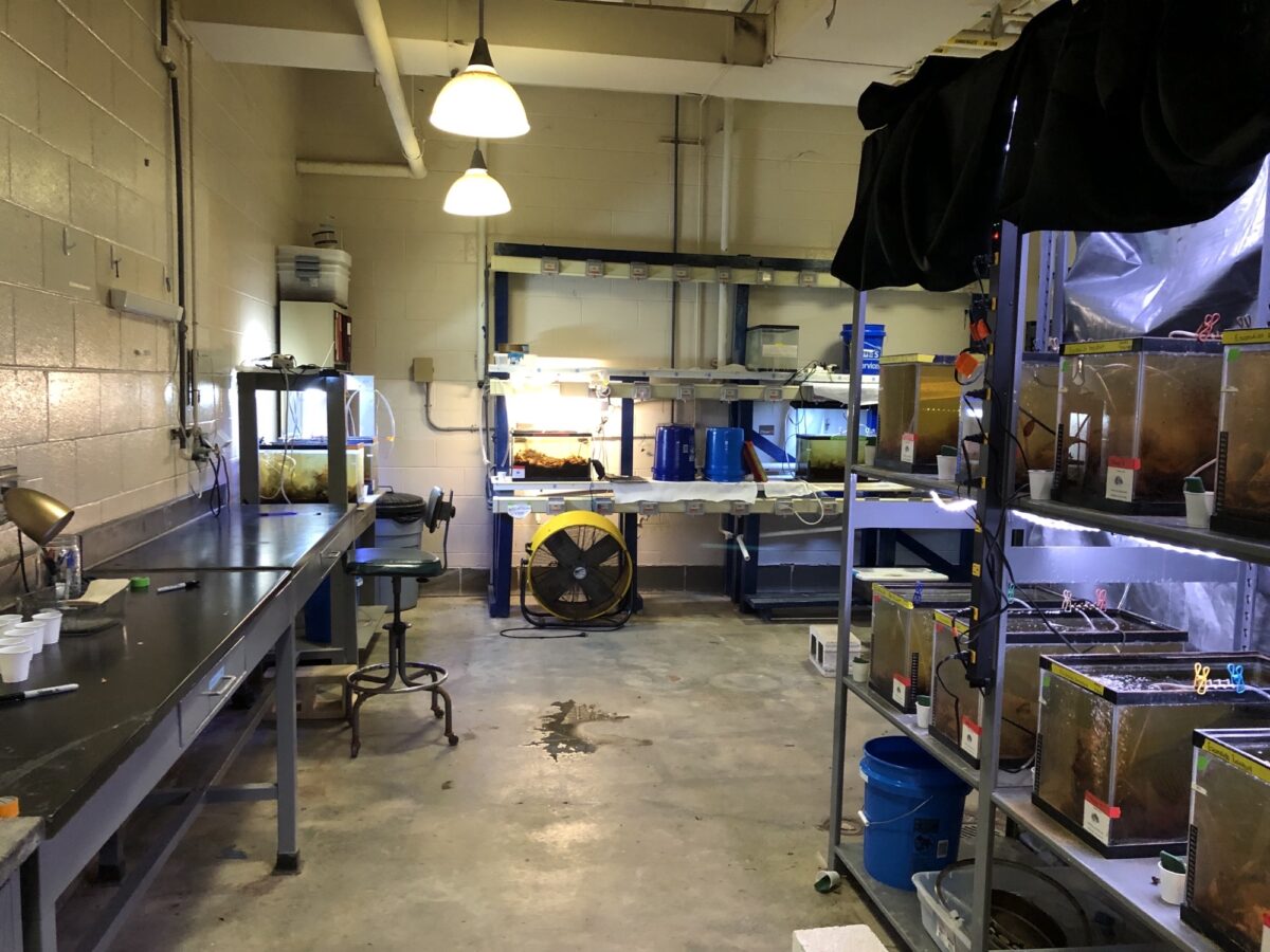 Equipment and Facilities – Lydy Research Lab